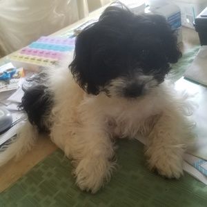 Meet your Posher, Noemi